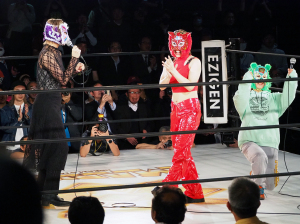 マリーゴールド　マスクフィエスタ